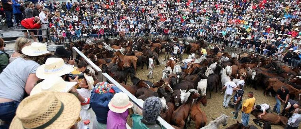 Mar de Compostela apostará por octavo año consecutivo por aprovechar el tirón de la Rapa. // Bernabé