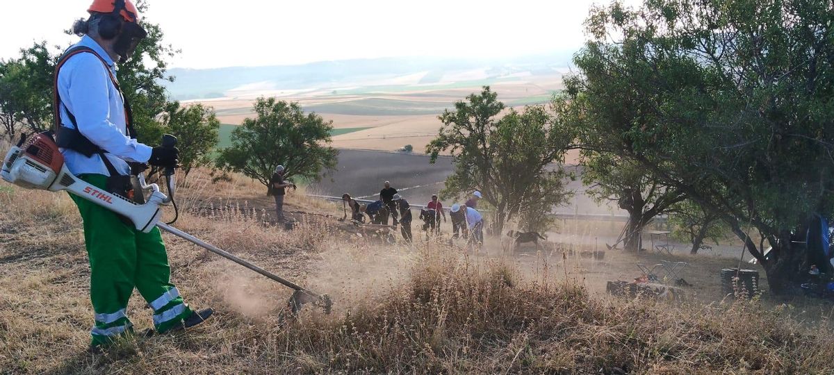 Carlos Sanz Mínguez pasa la desbrozadora mientras el arqueólogos y voluntarios limpian una zona