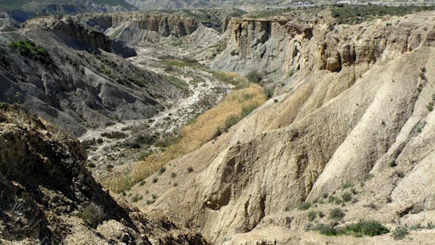 Desierto de Mahoya.