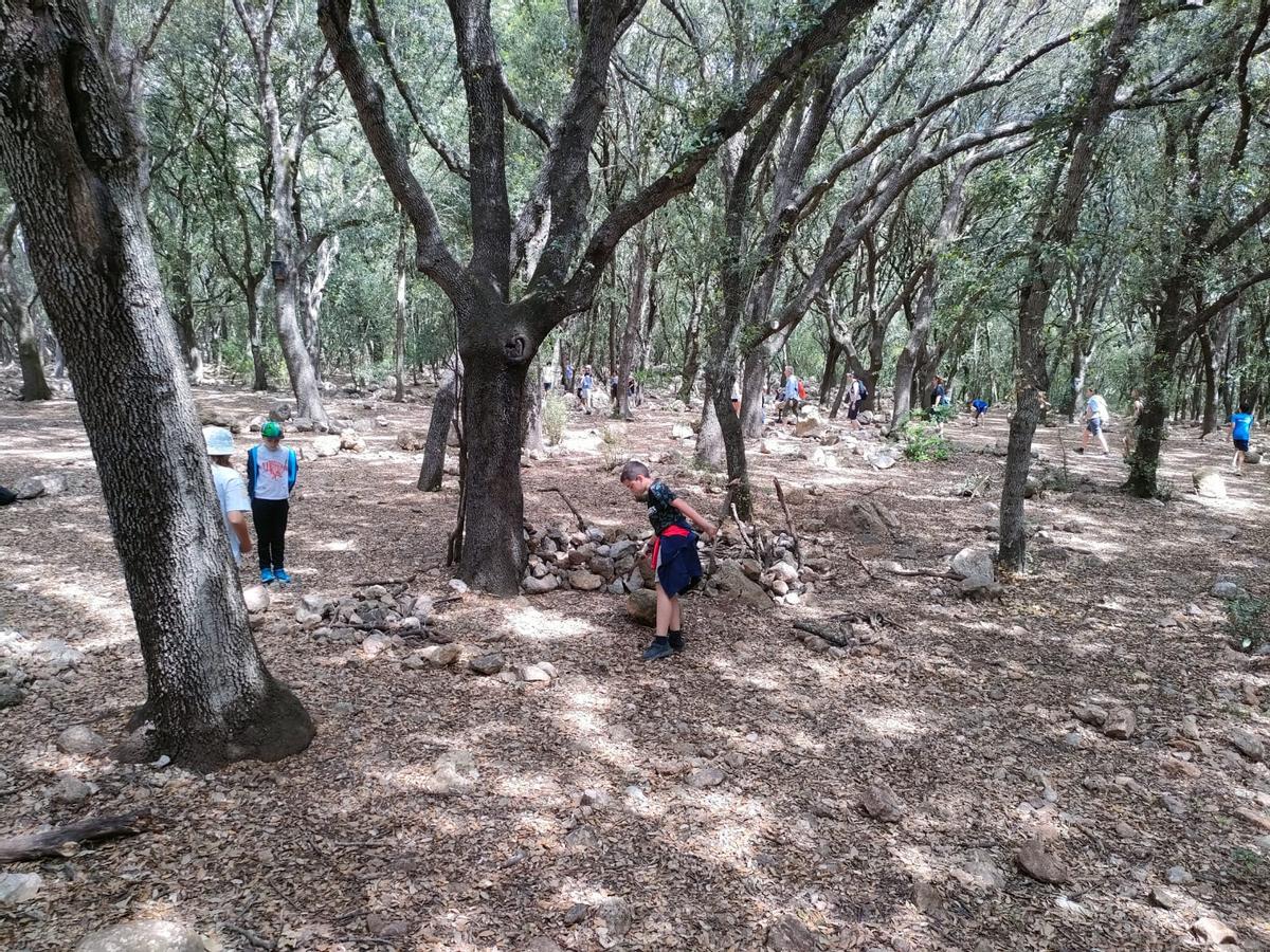FOTOS | Los escolares se adentran en Ses Fonts Ufanes de la mano de Gadma y Cemex
