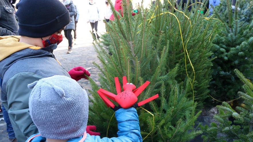 Espinelves manté el centenar de parades per la 41a Fira de l&#039;Avet, deu de les quals seran d&#039;arbres de Nadal