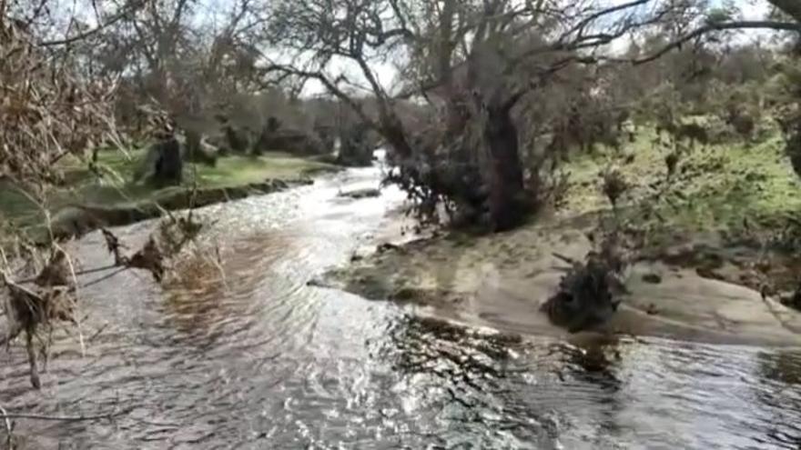 VÍDEO | Así corre el agua por la La Albañeza