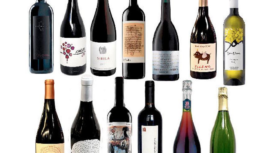 Wein und Sekt auf Mallorca: Das empfehlen Händler - Mallorca Zeitung