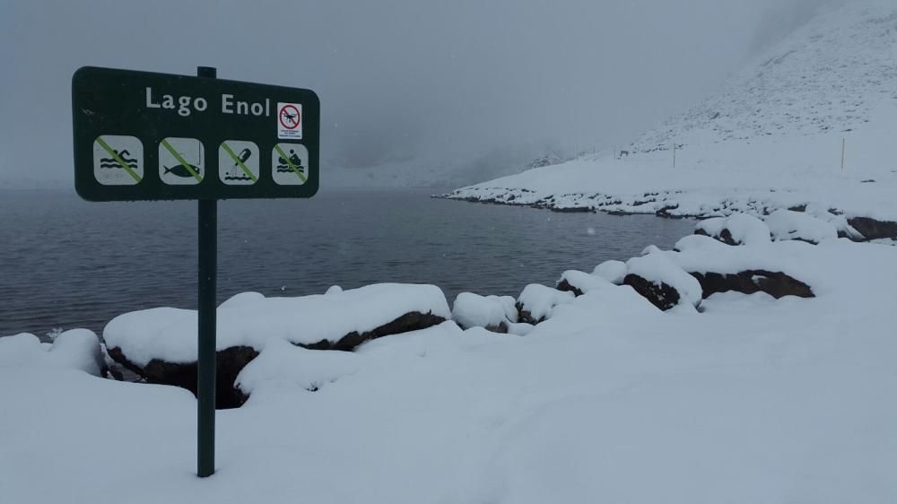 Las 40 fotos que te harán echar de menos el invierno (y la nieve) en Asturias