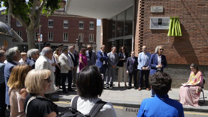 Zamora para su deuda con el albéitar Francisco de la Reyna