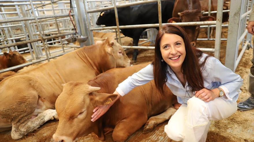 Galicia reclama al Ministerio diálogo con Marruecos para recuperar la exportación de bovino