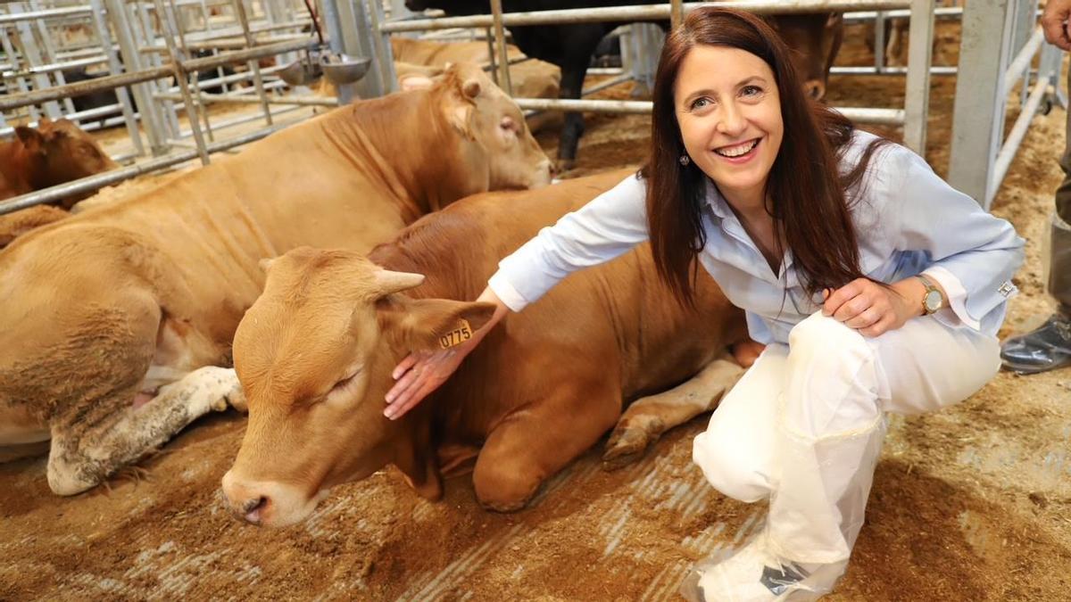 María José Gómez acaricia una res durante su visita al mercado.