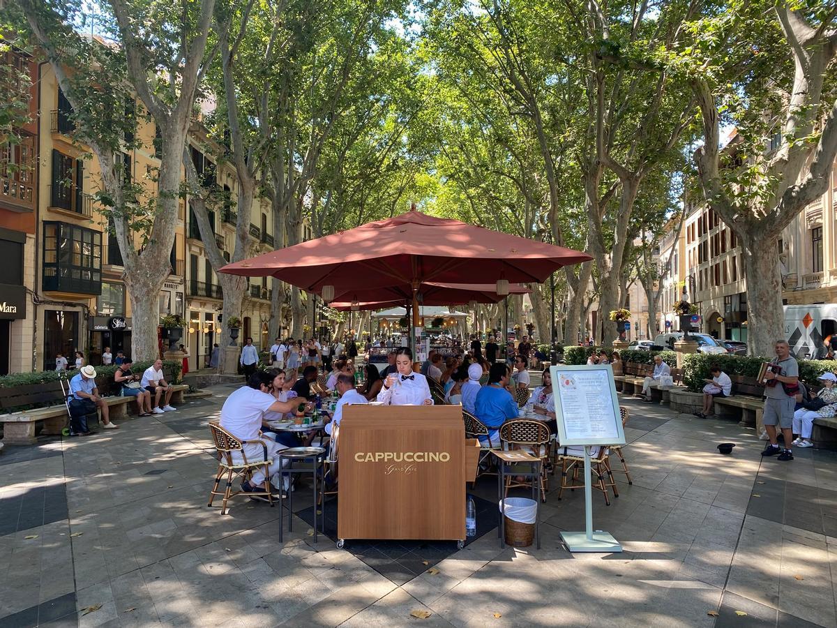 Nueva terraza en el Paseo del Born del Casal Solleric