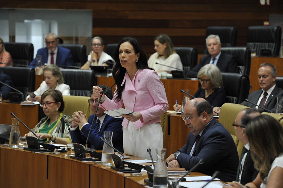 La consejera de Salud y Atención a la Dependencia, Sara García Espada.