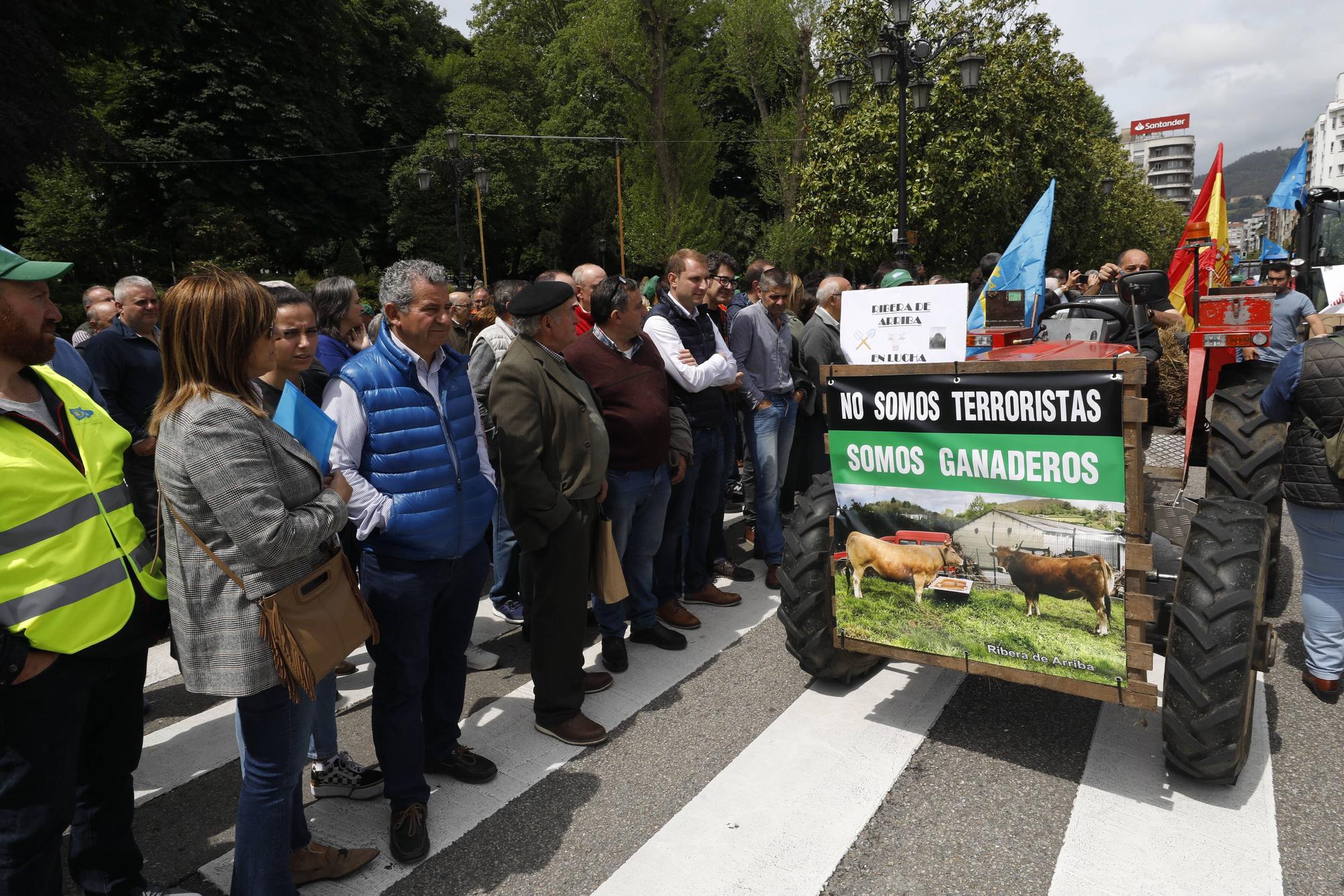 EN IMÁGENES: Así fue la tractorada de protesta del campo asturiano en Oviedo