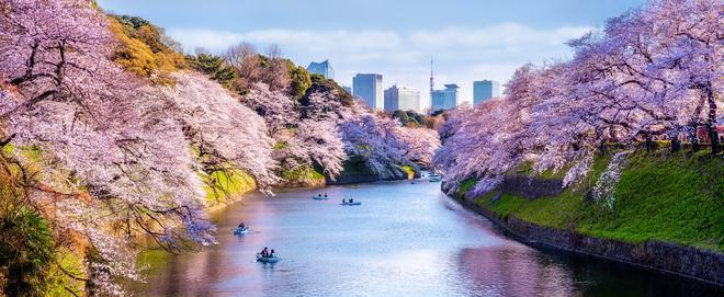 Japón, Turismo de Japón