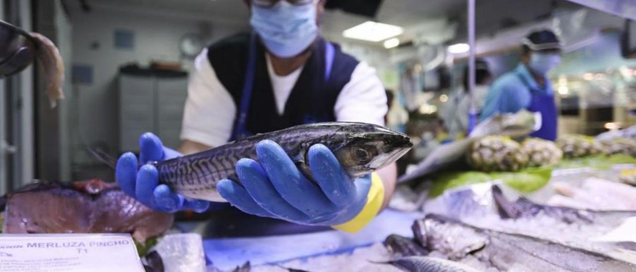 Juan Manuel Ferrero muestra una xarda en una pescadería de Avilés. | Ricardo Solís