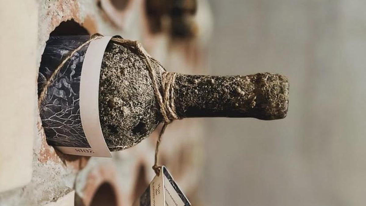 Uno de los vinos de La Bodega del Mar reposa en la cava tras haber pasado un tiempo criándose en el mar.