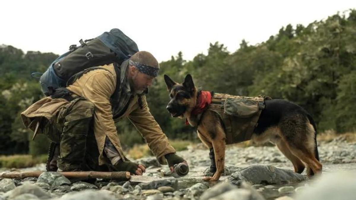 ESTRENOS CINE | Crítica de ‘En el corazón de la bestia’: Un filme de aventuras y supervivencia en el que Brad Pitt compite en protagonismo con su perro