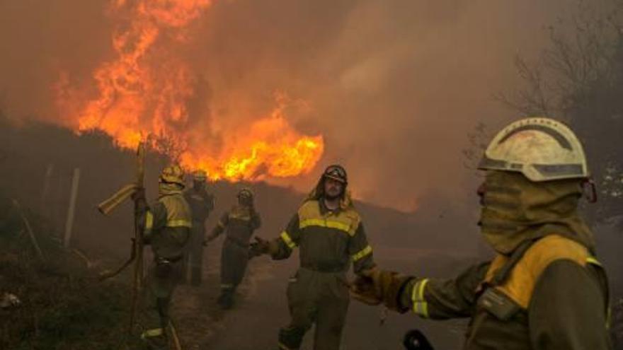 Els bombers lluiten contra un foc a Ourense.