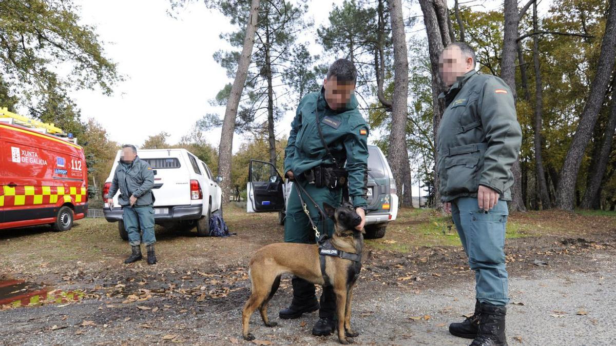 Uno de los perros del Secir de la Guardia Civil, ayer, antes de una búsqueda.