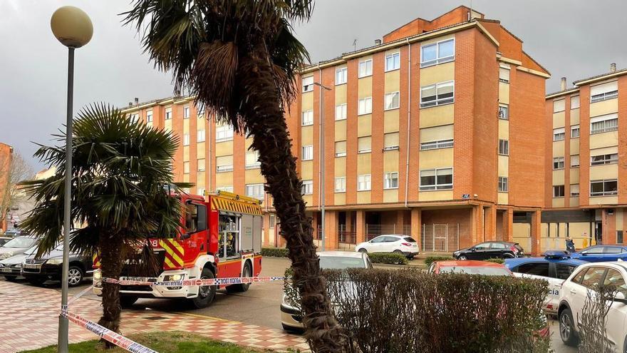 Bomberos de Benavente intervienen en un camión con humo en la A‑6 y aseguran una palmera con riesgo de caída