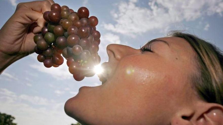 Tienen un efecto antioxidante sobre el organismo