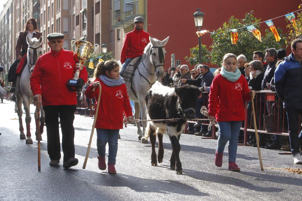 Sant Antoni en Valencia 2017