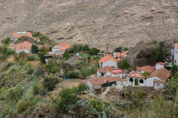 Restos del incendio en la cumbre  | 25/08/2019 | Fotógrafo: Tony Hernández