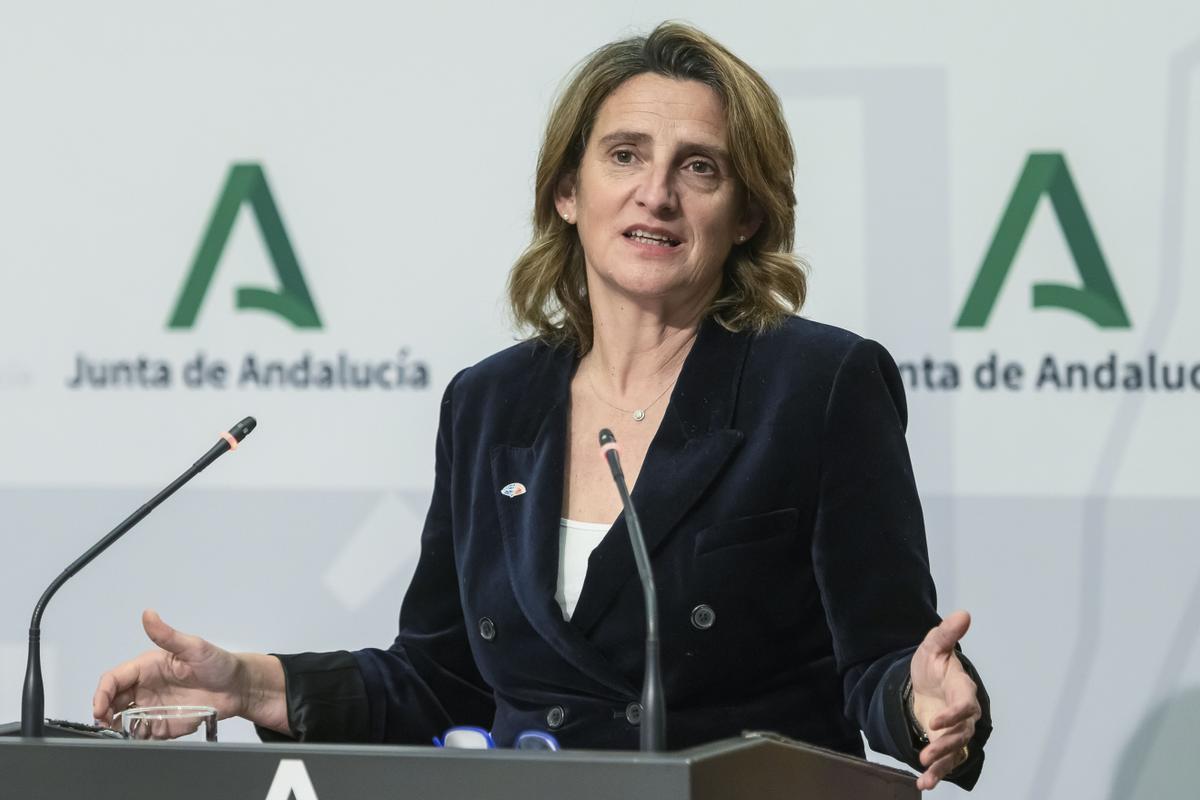 La ministra para la Transición Ecológica y el Reto Demográfico, Teresa Ribera