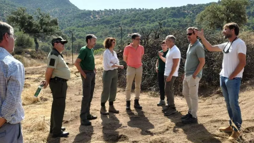La Junta apoya con 470.000 euros la mejora del hábitat del conejo de monte