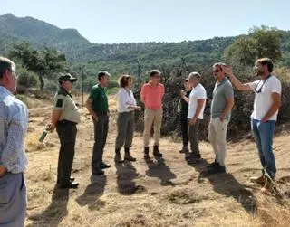 La Junta apoya con 470.000 euros la mejora del hábitat del conejo de monte
