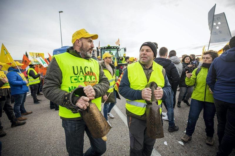 Manifestación de agricultores en Zaragoza