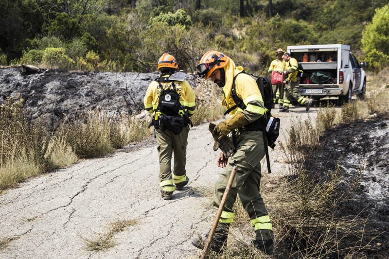 El paraje de El Surar, arrasado por el incendio