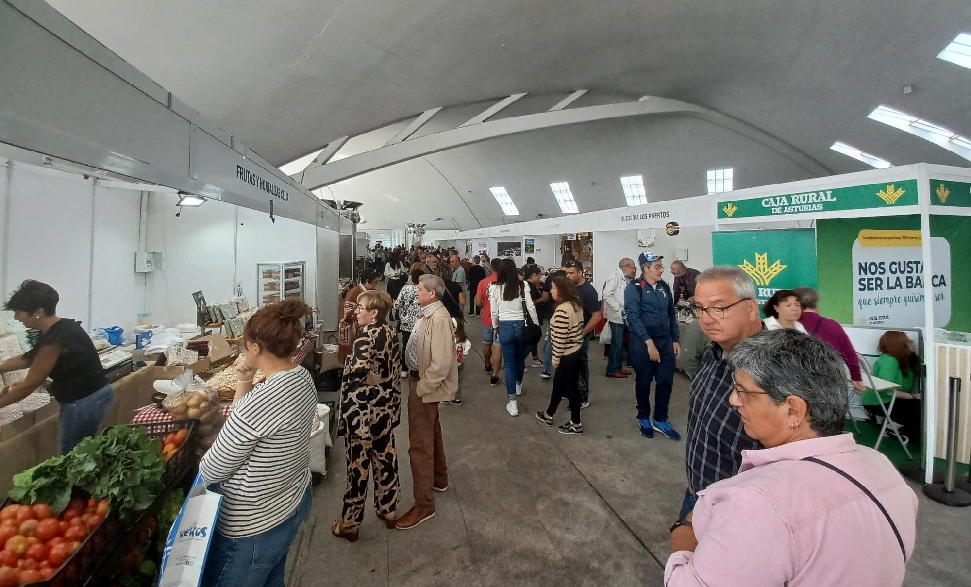 Agrosiero, así se celebra la gran fiesta del campo en la Pola