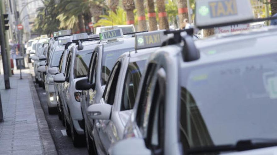 Los taxistas de Canarias recibirán 7.090 mascarillas. En la imagen, taxis en una parada de la Santa Cruz de Tenerife.