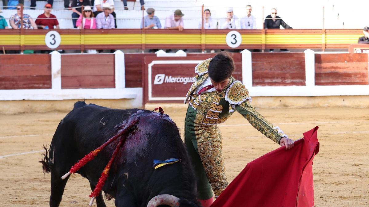 El joven novillero extremeño Julio Méndez, con el tercero de la tarde, de nombre 'Fugitivo'.