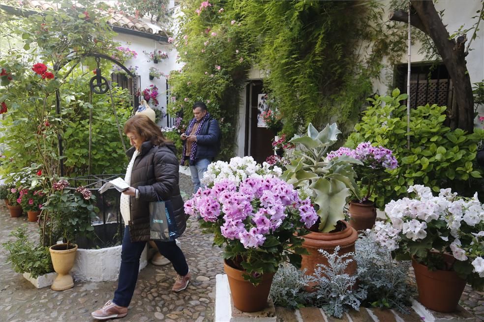 Mención de Honor y primeros premios del Concurso Municipal de Patios 2018