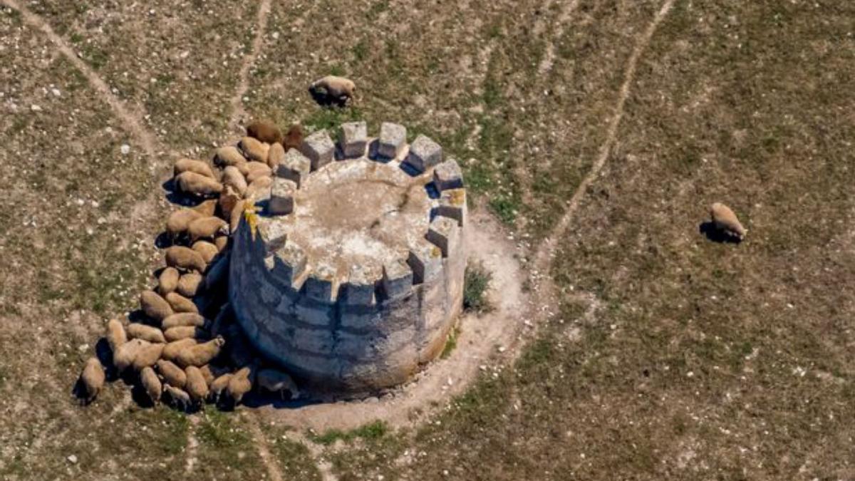 Im Raum Inca gelang dem Fotografen das Bild von einer Finca, auf der jeder verfügbare Raum für eine Solaranlage verwendet worden ist.   | FOTO: HANS BLOSSEY