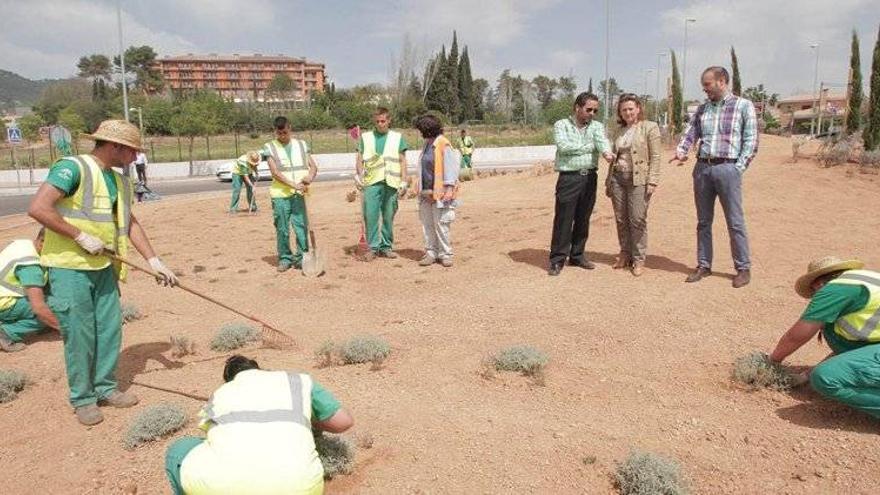 El Ayuntamiento ajardina la glorieta Abbas Ibn Firnas con más de 800 plantas