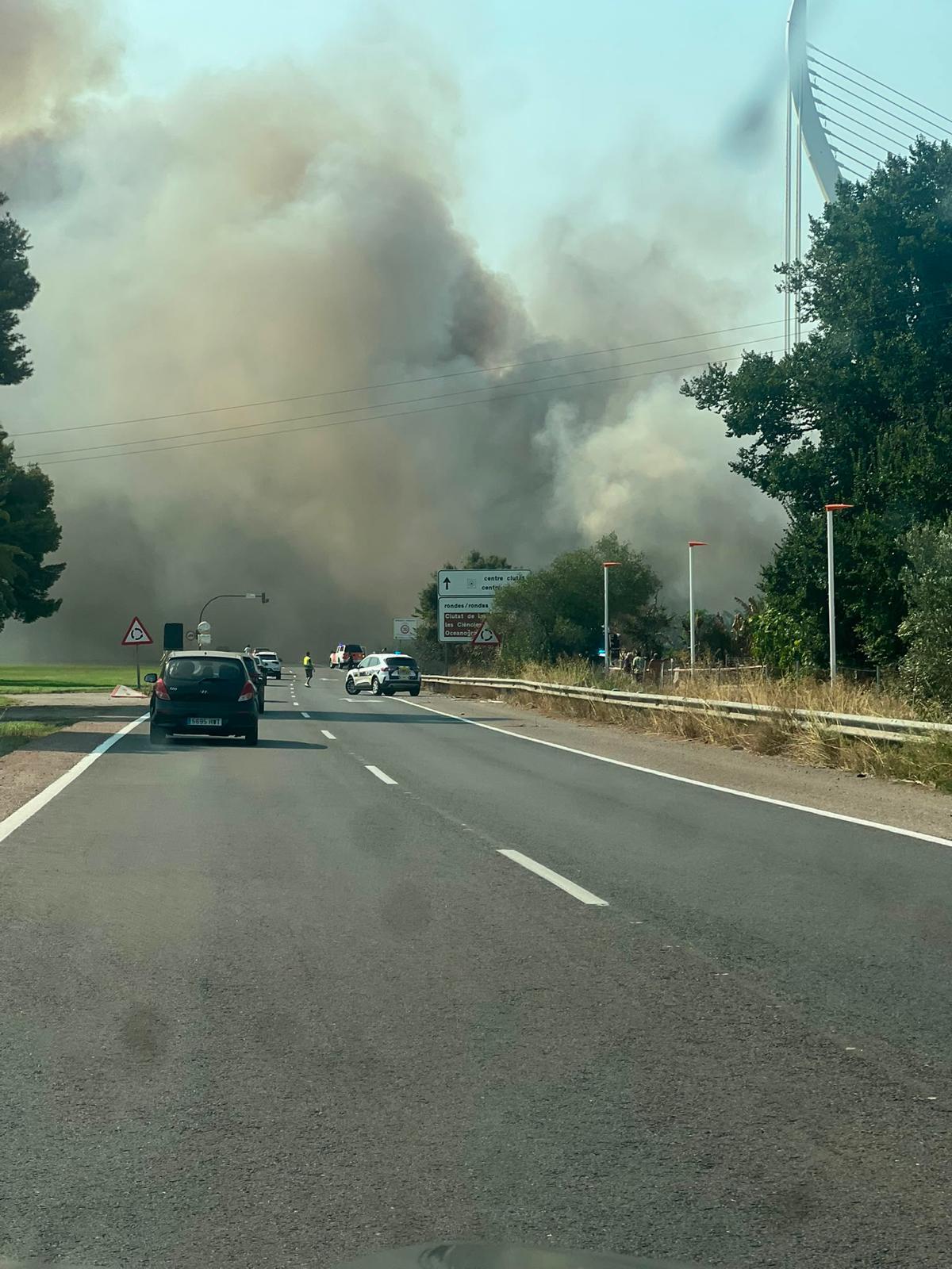 Un aparatoso incendio junto al Oceanogràfic y la autovía del Saler obliga a cortar el tráfico de entrada y salida a la ciudad