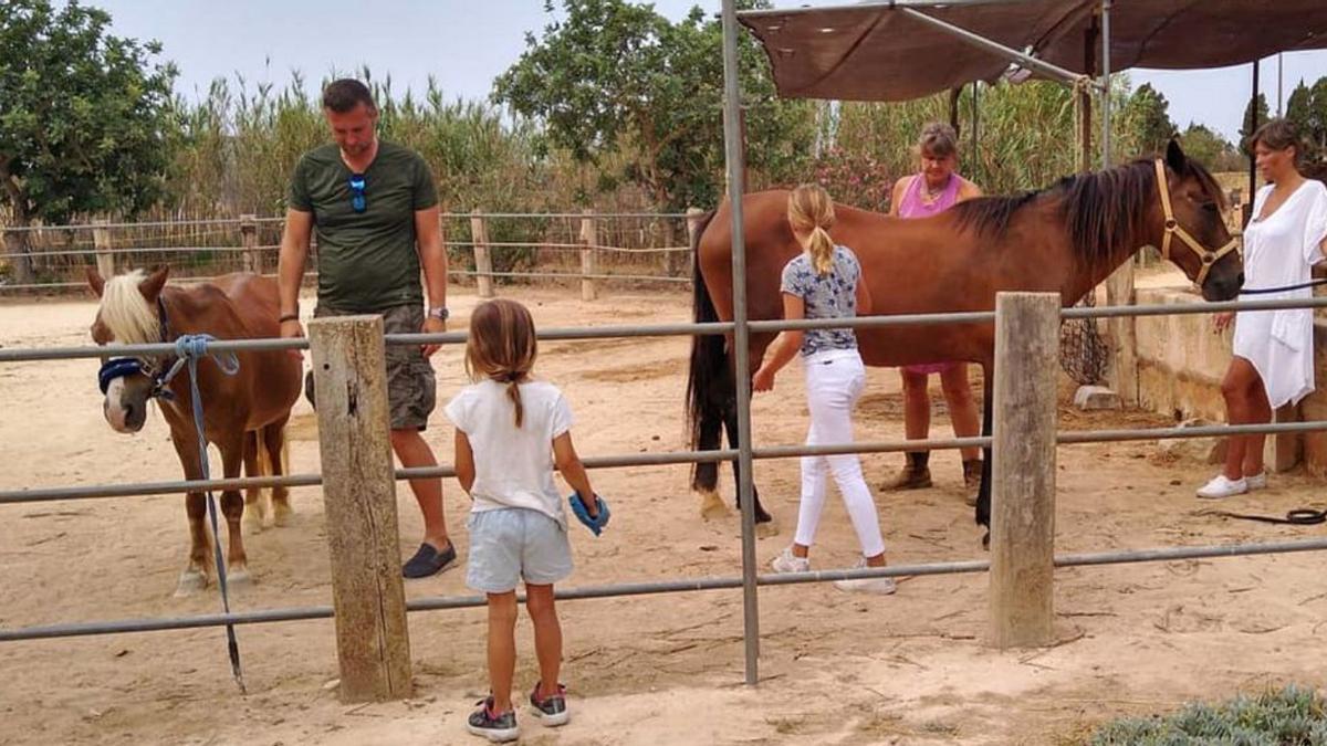 Auf der Finca Sant Blai bei Campos ist im Sommer auch Ponyreiten möglich.  | FOTO: SANT BLAI