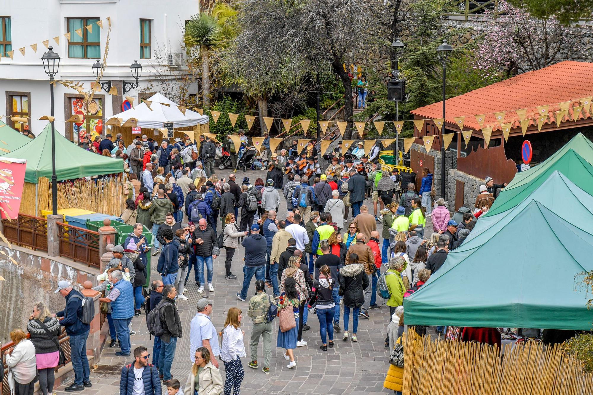 Fiesta del Almendro en Flor en Tejeda