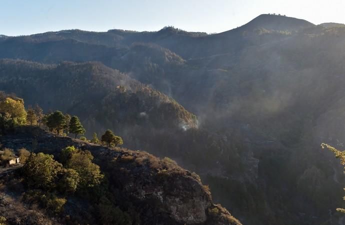 20-08-2019 VALLESECO. Zonas quemadas por el incendio, Barranco de Los Pajaritos. Fotógrafo: ANDRES CRUZ  | 20/08/2019 | Fotógrafo: Andrés Cruz