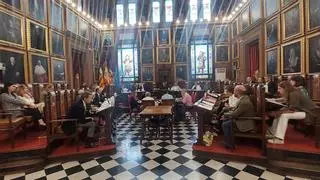 Vox 'borra' del decreto de organización del Ayuntamiento de Palma referencias a la violencia machista, la lengua y los derechos sociales