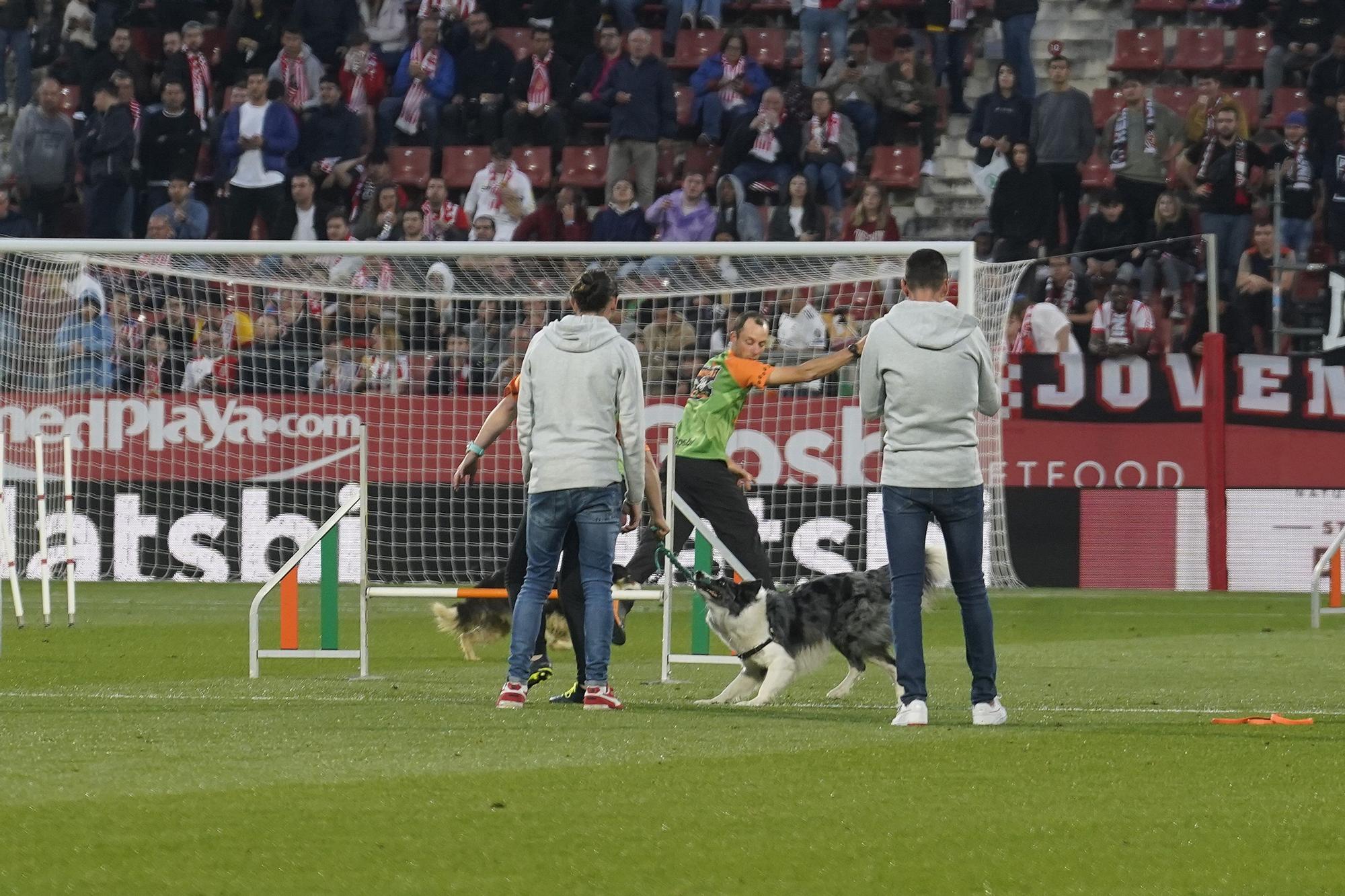 El Girona es cruspeix al Reial Madrid a Montilivi (4-2)