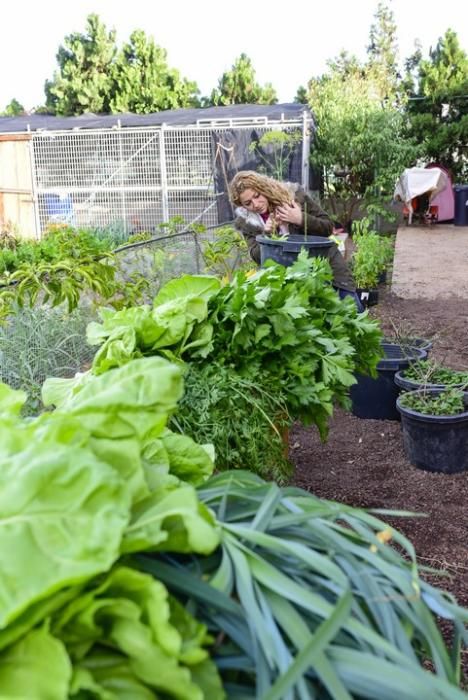 Visita escolar a la Granja Agricola del Cabildo