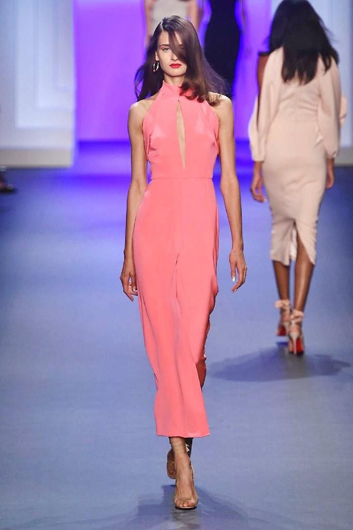 Cushnie Et Ochs