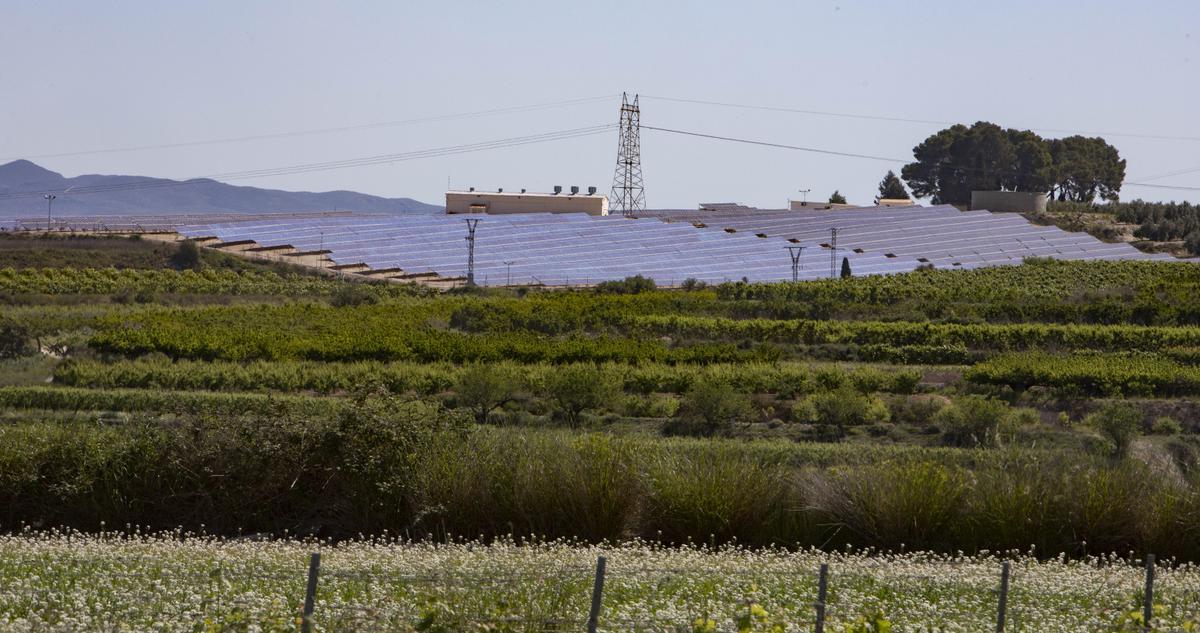 Planta fotovoltaica en la provincia de Valencia.