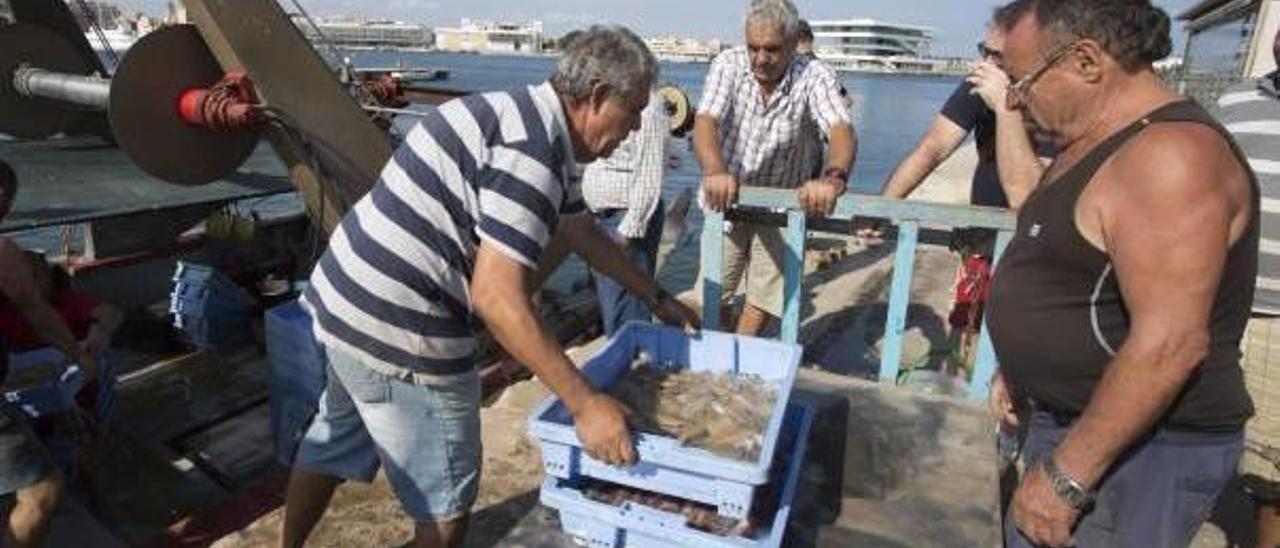 Los pescadores descargan las capturas en la Lonja de la marina, con el Veles e Vents al fondo.