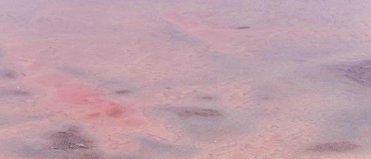 Colores rosados en las llamadas salinas d&#039;en Ferrer, en Formentera.