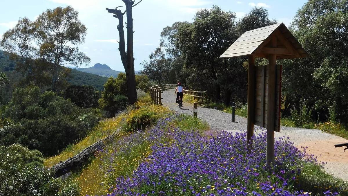 Un ciclista recorre la vía verde del Guadiato.