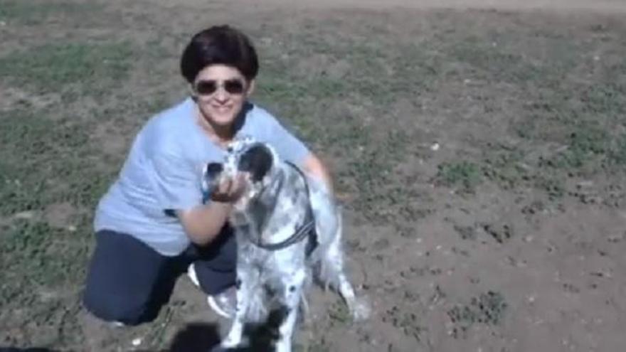 Dos días de permiso en el trabajo para atender a su perro enfermo