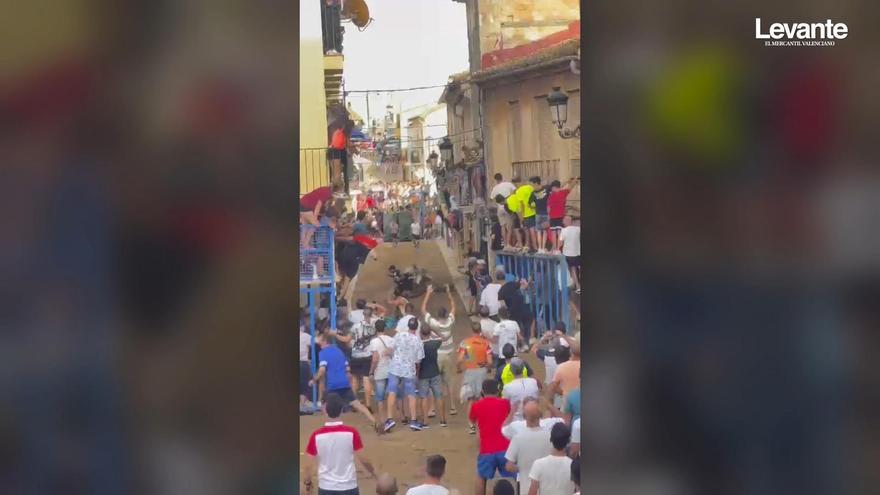 Petrés inicia su semana taurina con un herido