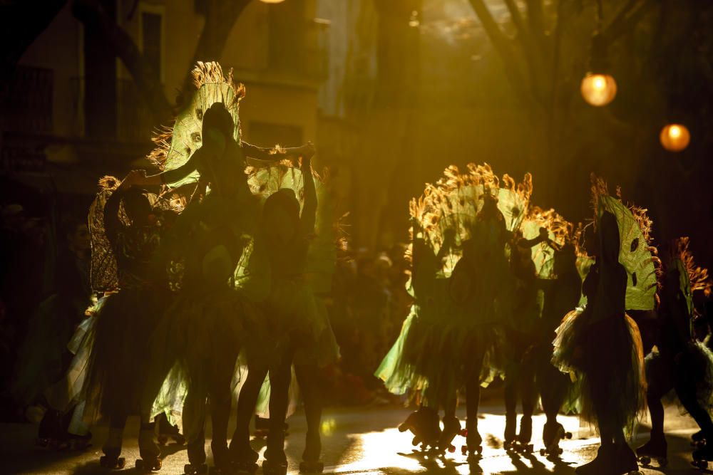 Carnaval 2020: la Rua de Palma